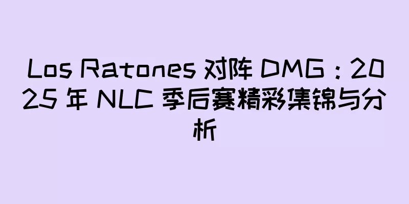 Los Ratones 对阵 DMG：2025 年 NLC 季后赛精彩集锦与分析